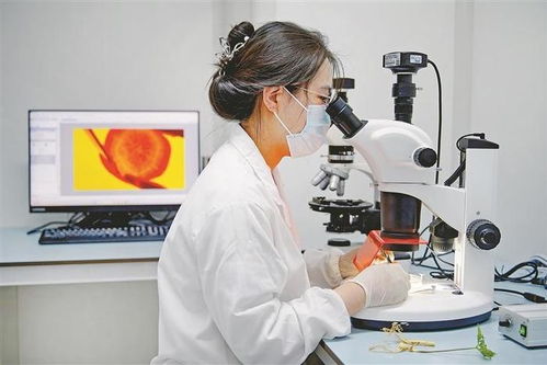 從煤灰漫天到金山疊翠 賈汪七獲優(yōu)秀背后的生物產(chǎn)品研發(fā)轉(zhuǎn)型密碼