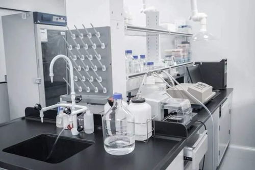 持續(xù)突破，精準制導 詩健生物的創(chuàng)新之旅與ADC藥物研發(fā)新篇